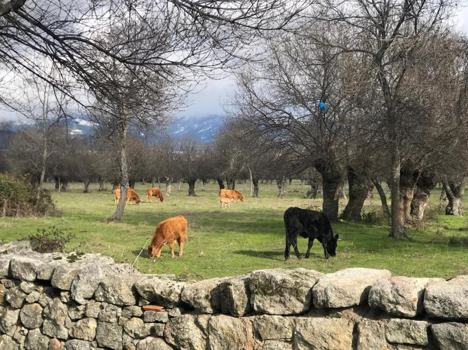 Appartement Guadarrama, Atico Nuevo Con Espectaculares Vistas Extérieur photo