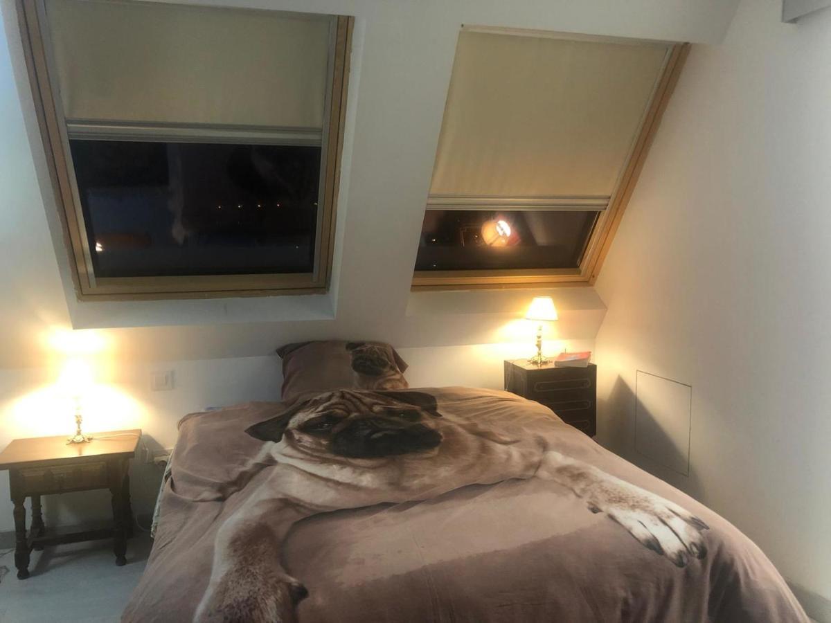 Appartement Guadarrama, Atico Nuevo Con Espectaculares Vistas Extérieur photo